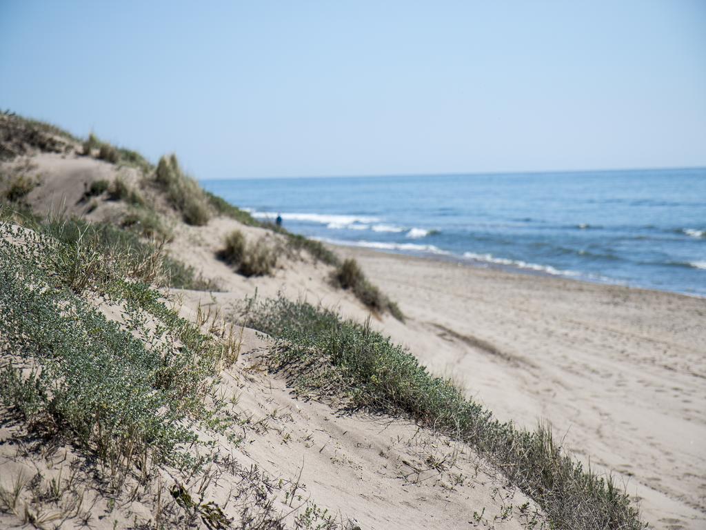 Wood House Close Beach Marbella Exterior photo